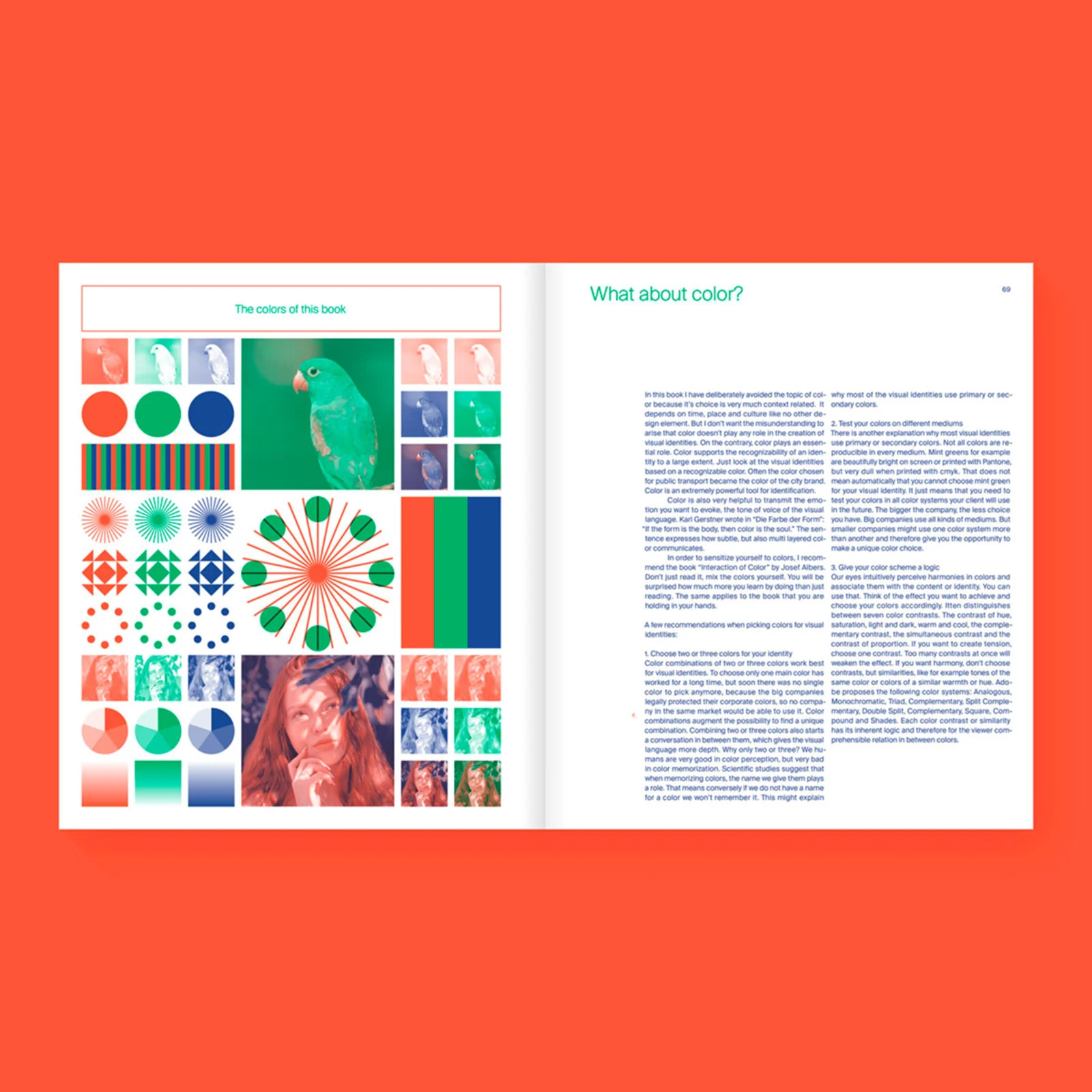 Flexible Visual Systems