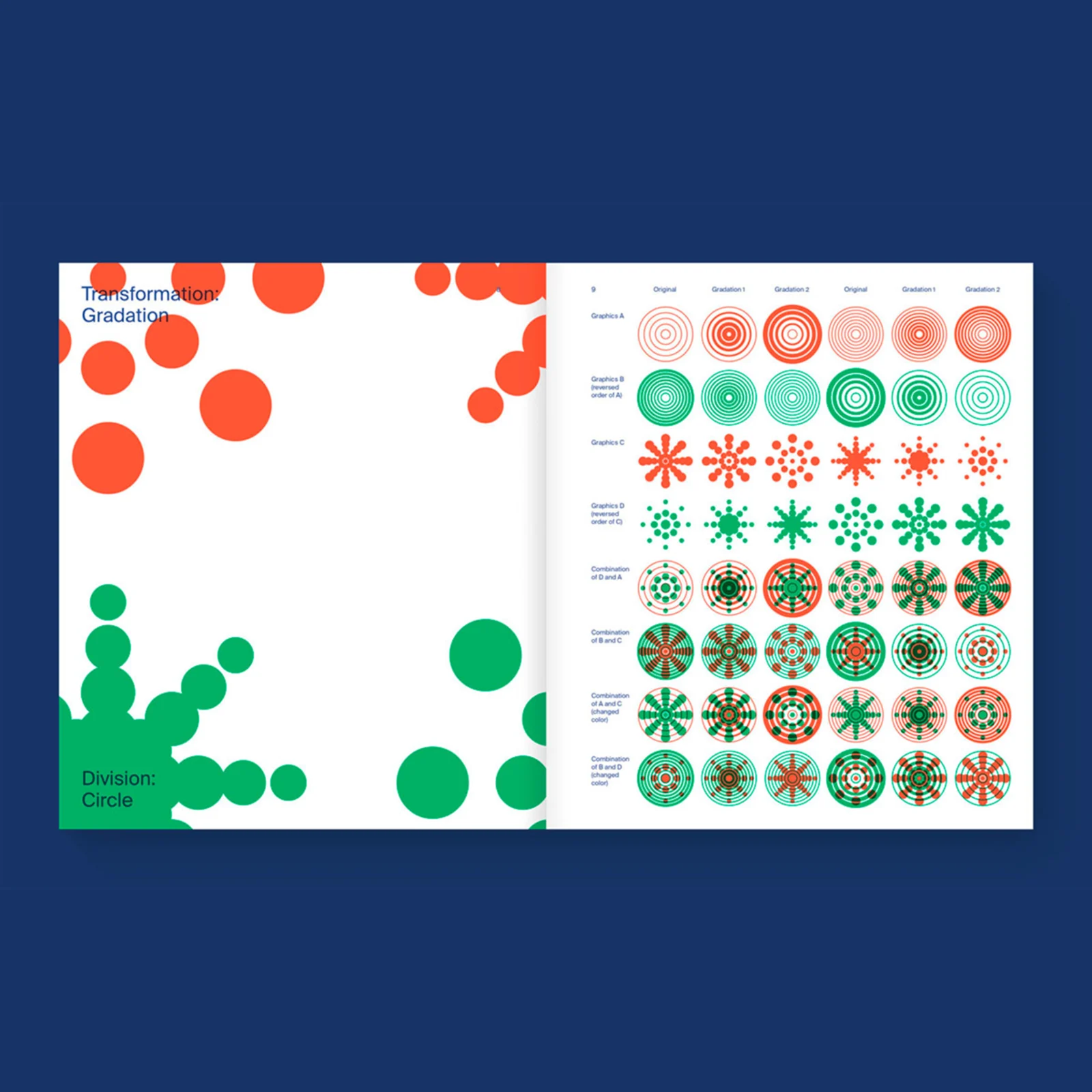 Flexible Visual Systems