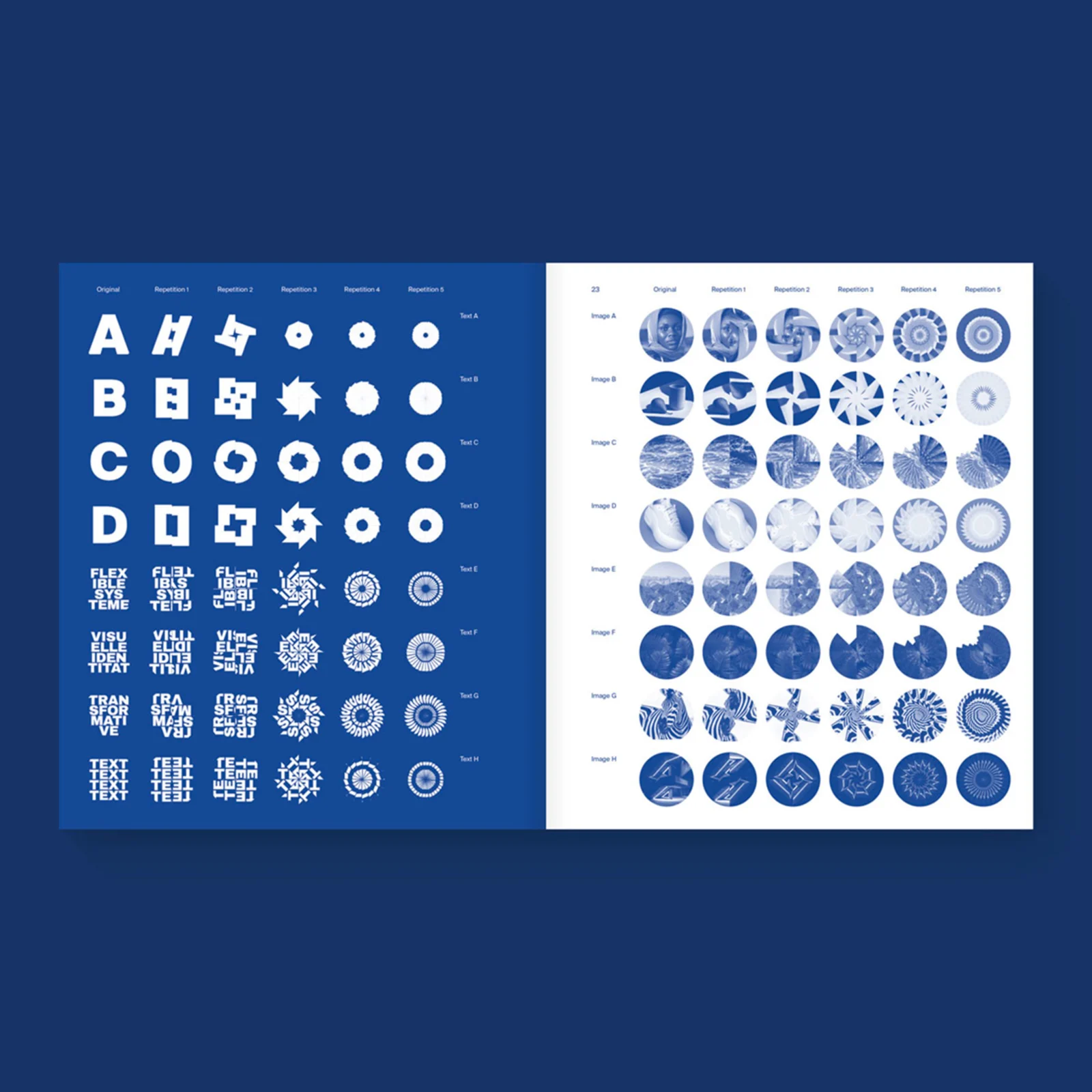 Flexible Visual Systems