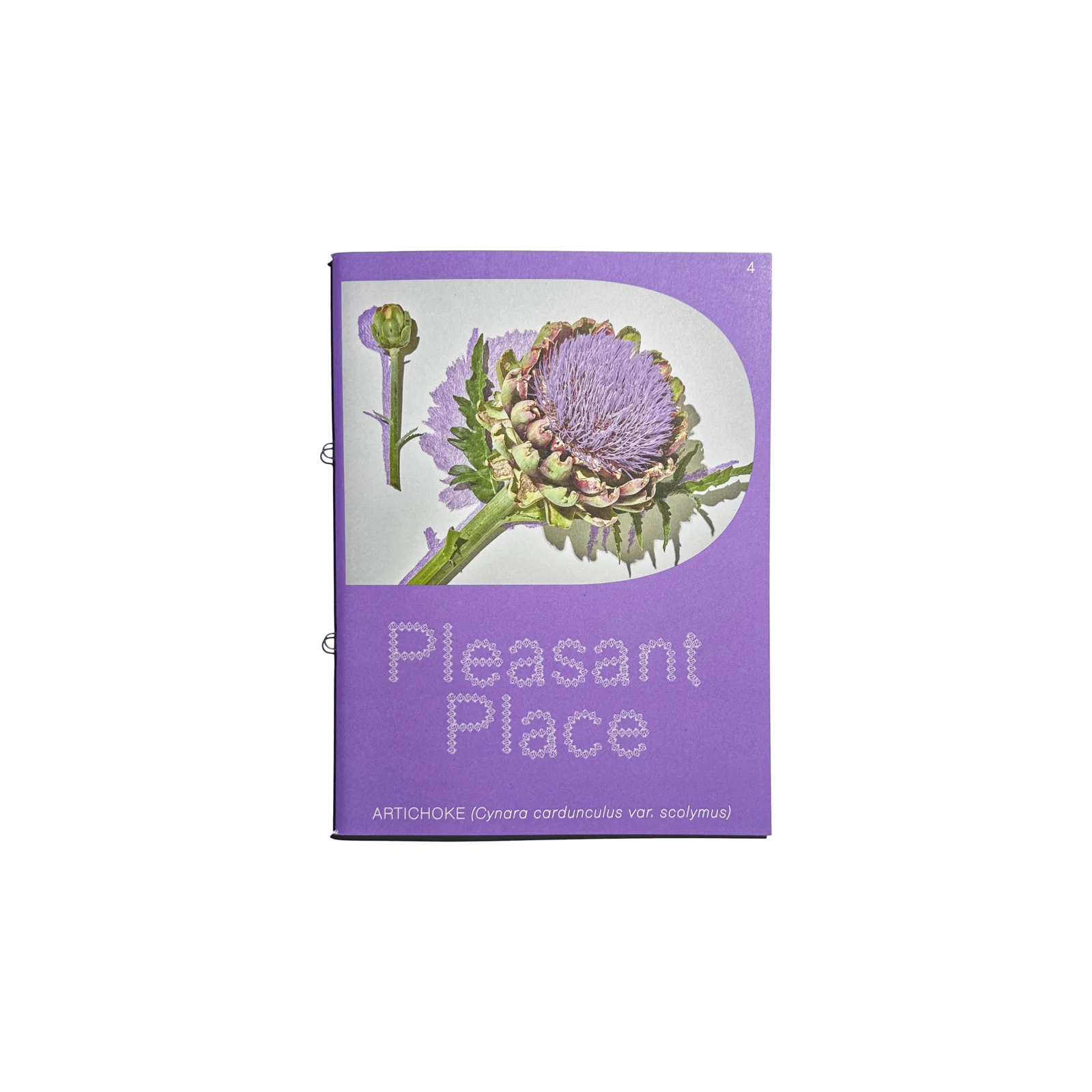 Pleasant Place #4