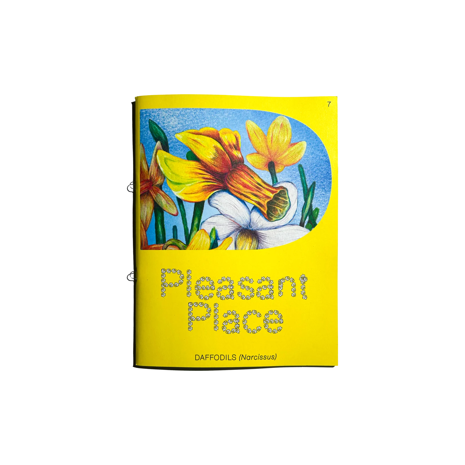 Pleasant Place #7