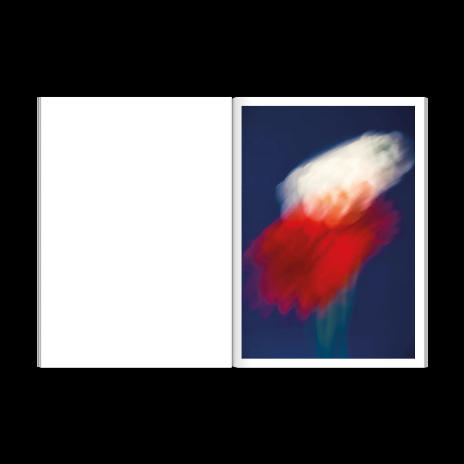 The Chromatics of Flowers