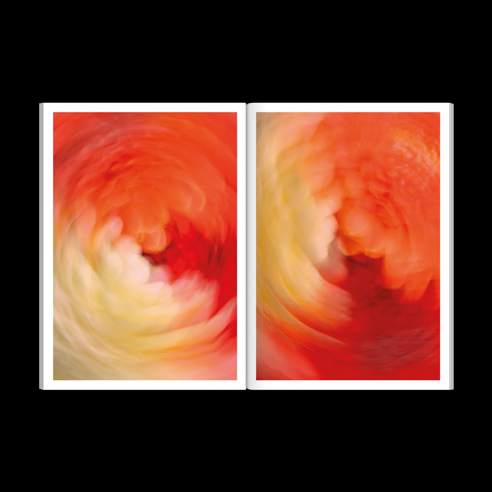 The Chromatics of Flowers
