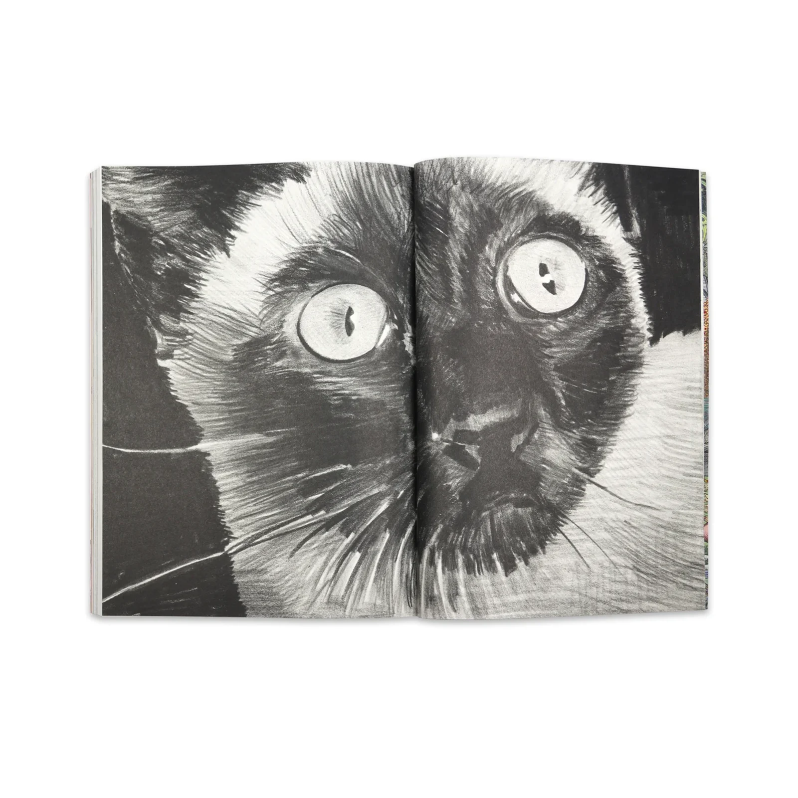 FUKT #15