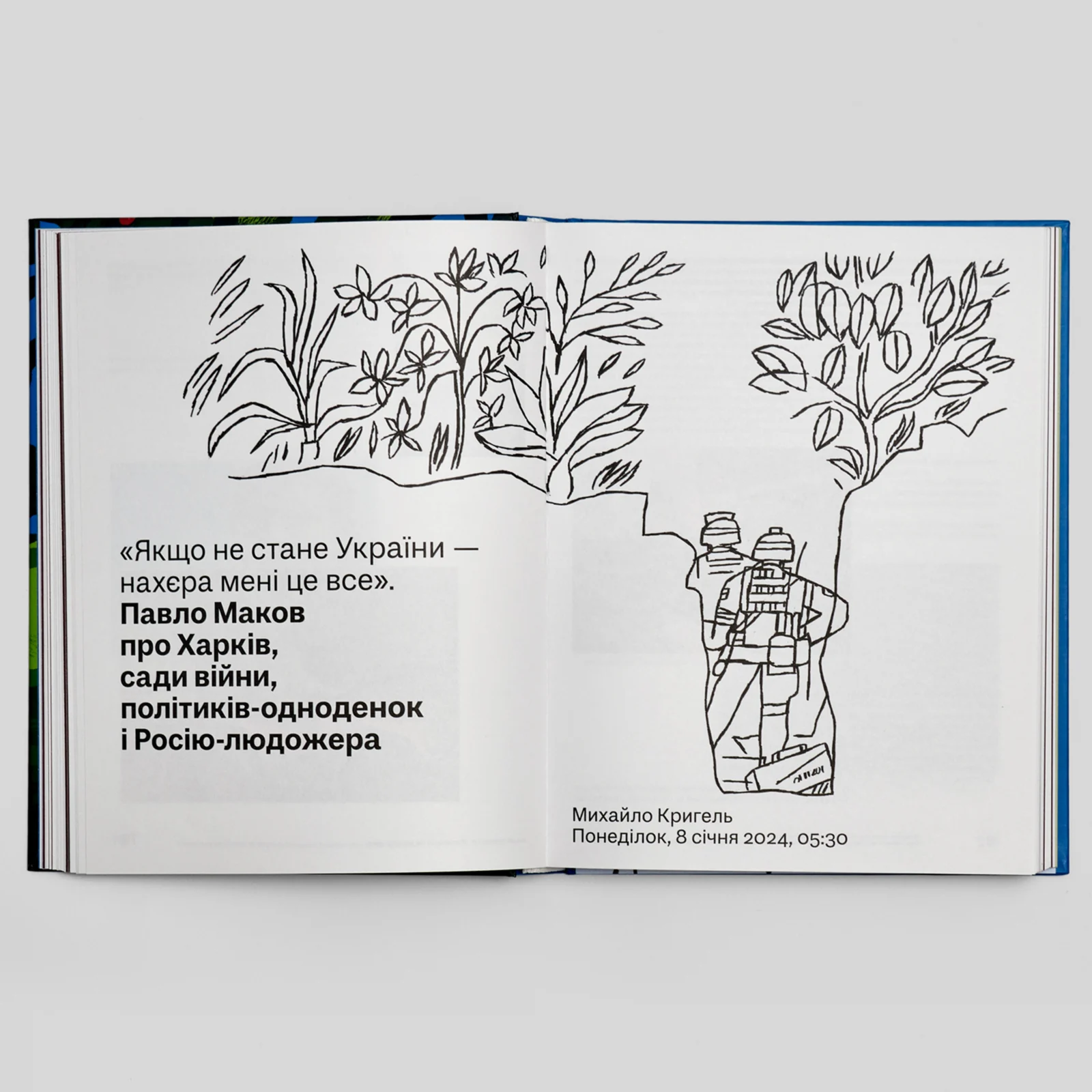 Вітряки і Дон Кіхоти. Українська правда 25