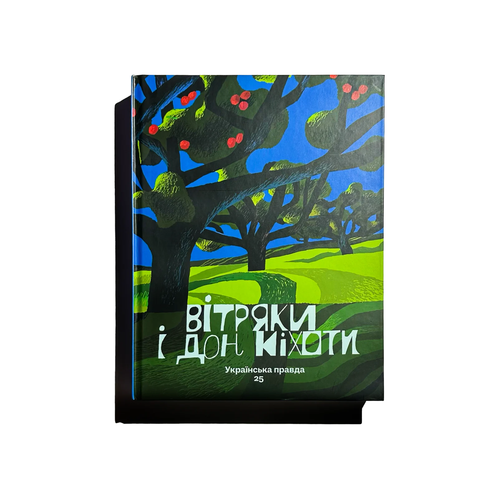 Вітряки і Дон Кіхоти. Українська правда 25