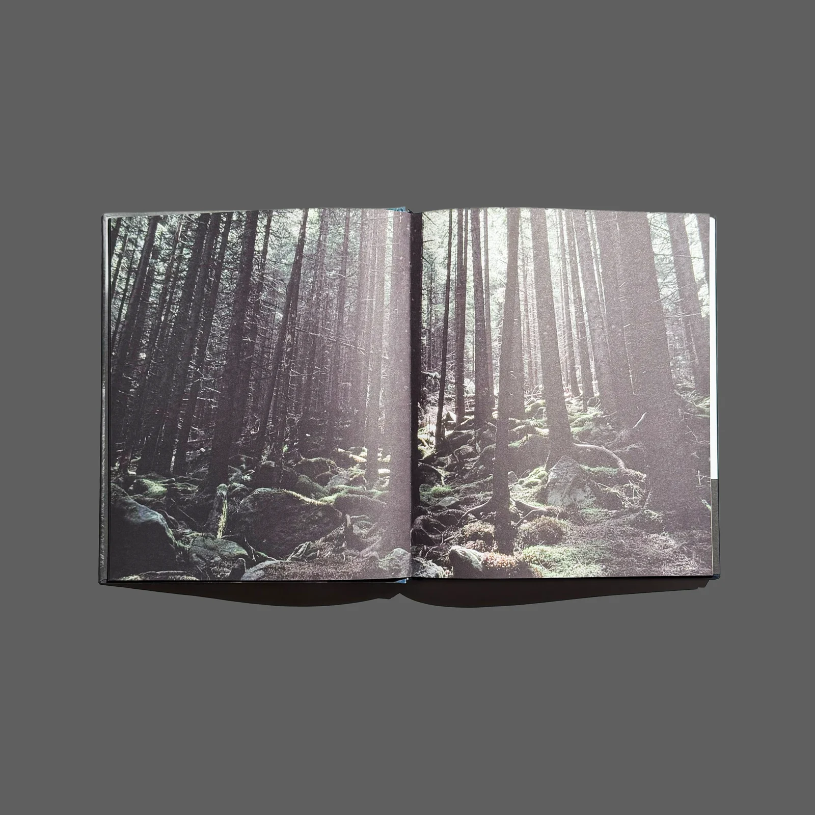 Солоні роси