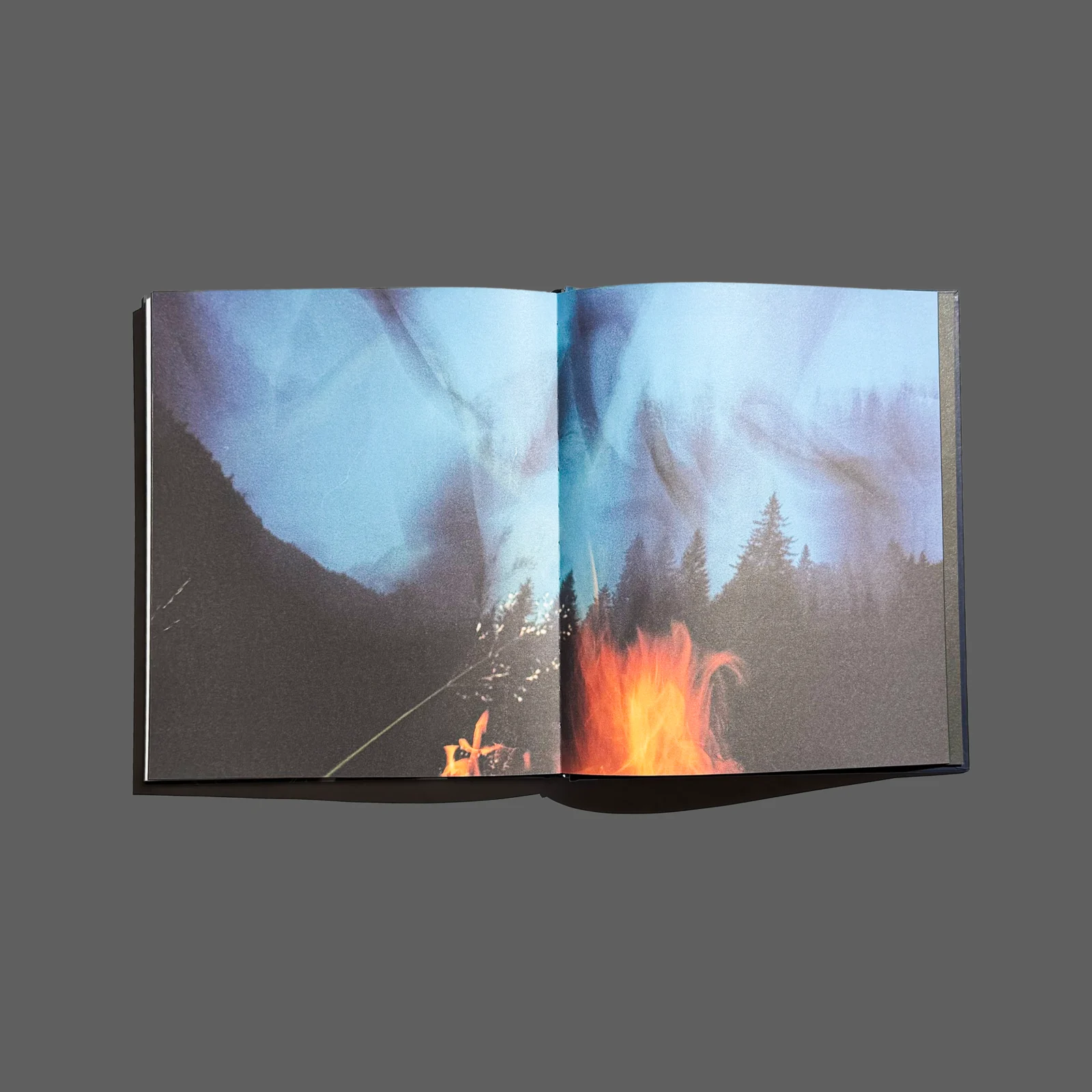 Солоні роси