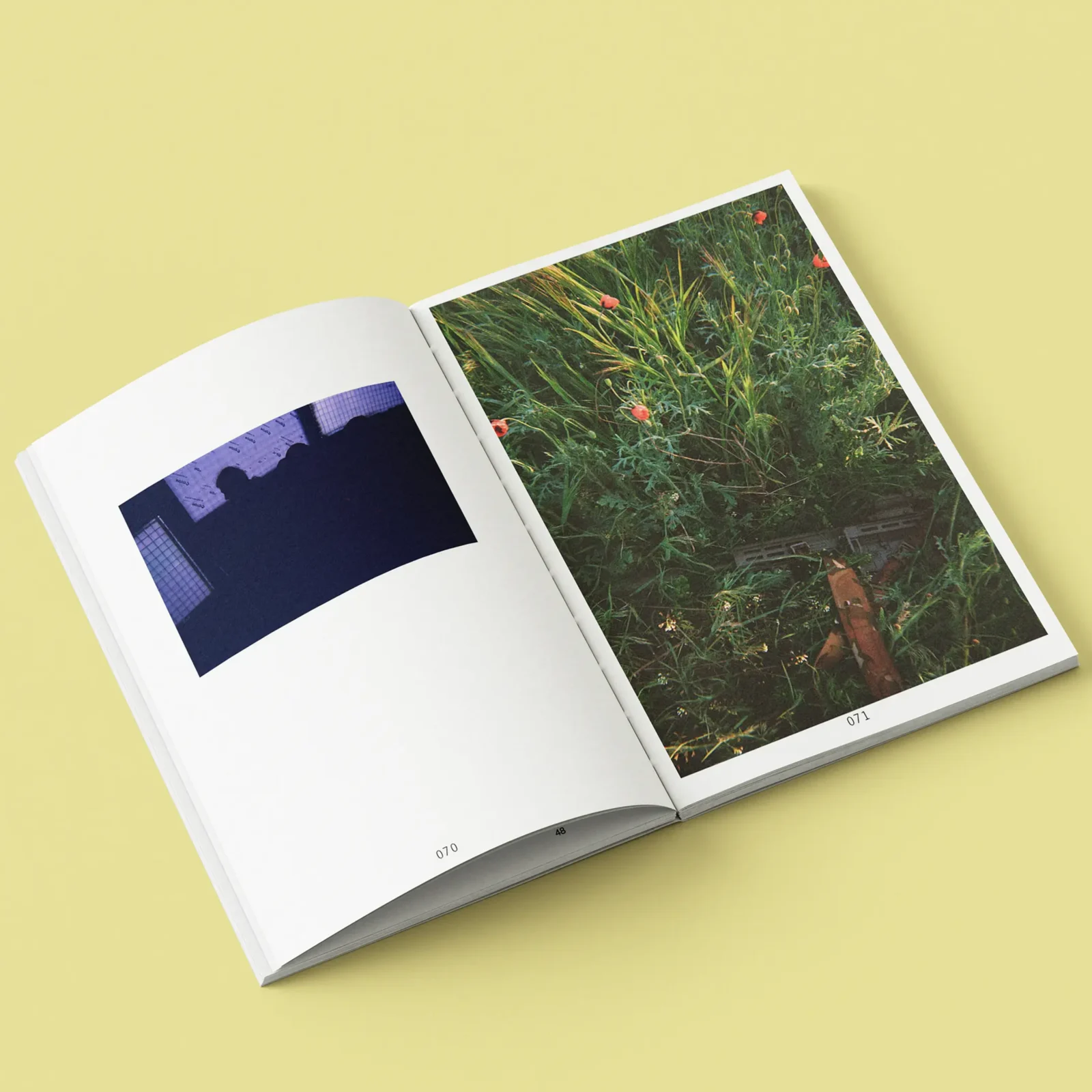 Плівки з передової