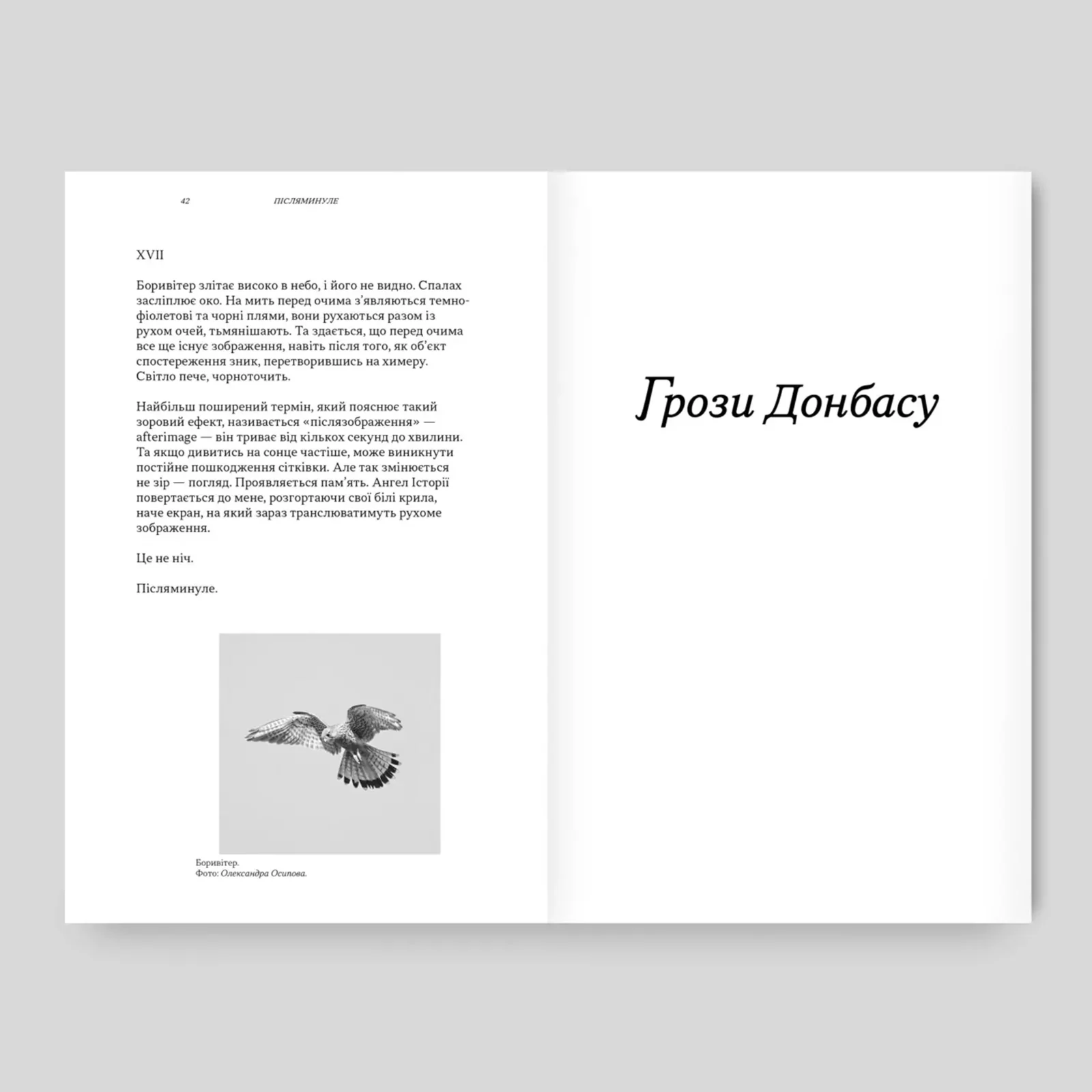 Донбас як метафора